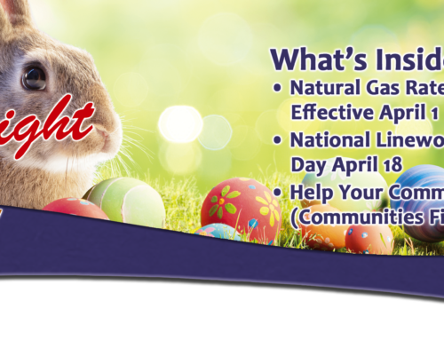 April Spotlight