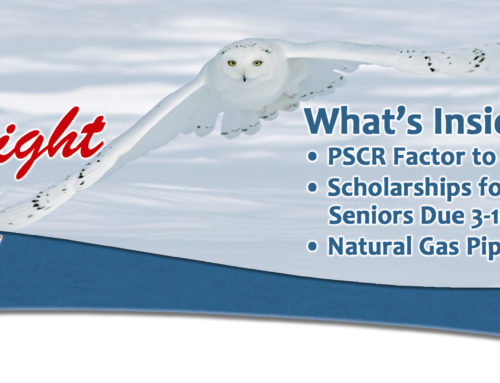 January Spotlight