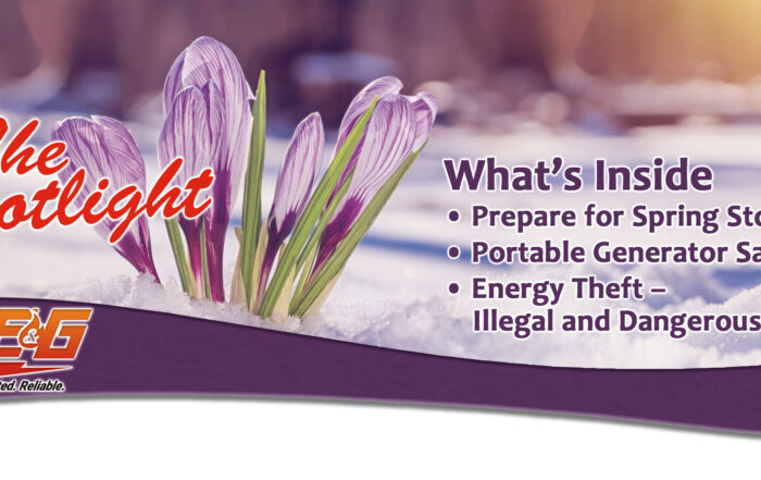 Header March Spotlight 2023
