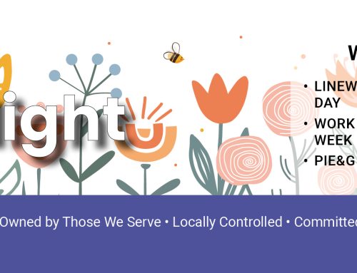 April 2026 Spotlight