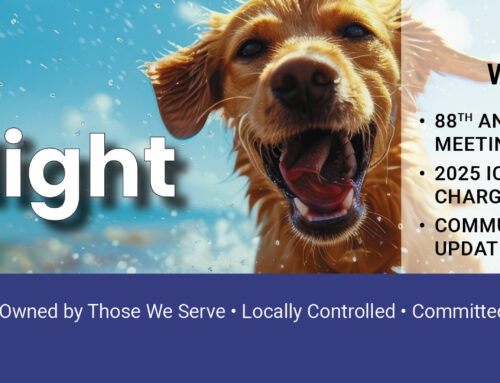 August 2025 Spotlight