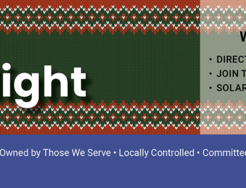 December 2025 Spotlight