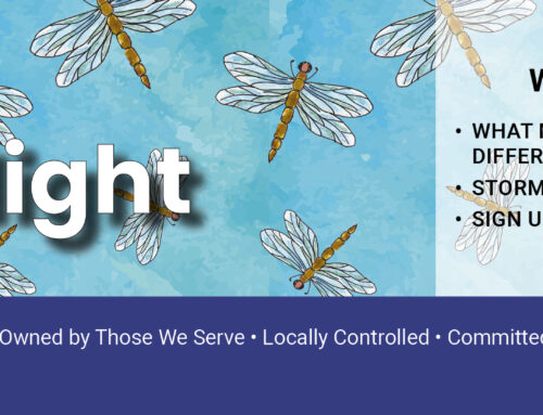 June 2025 Spotlight