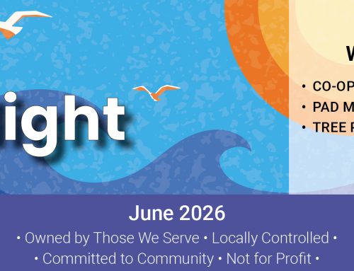 June 2026 Spotlight