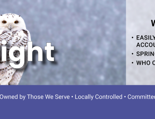 March 2026 Spotlight