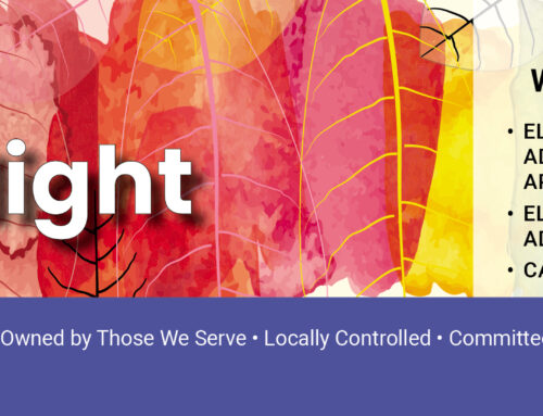 November 2025 Spotlight