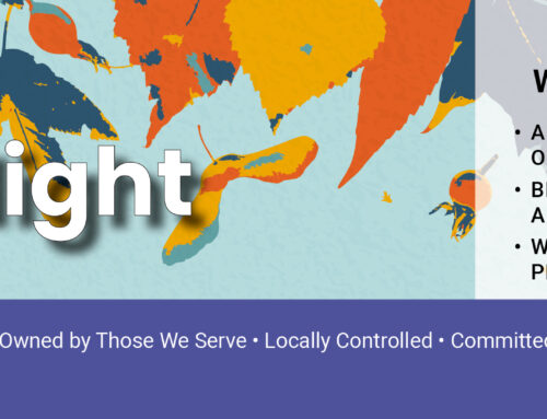 October 2025 Spotlight